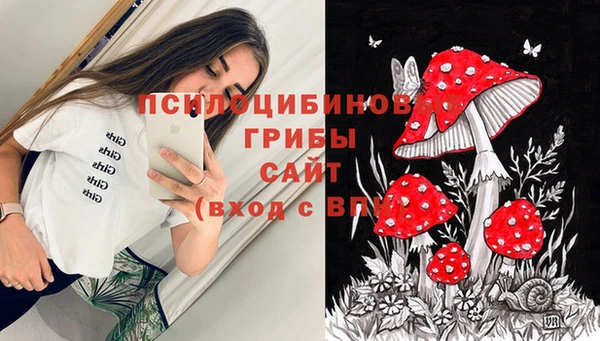 стафф Абдулино