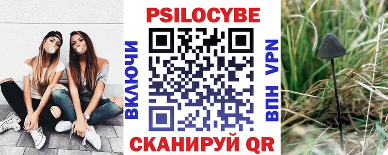 hydra рабочий сайт  Княгинино  Псилоцибиновые грибы Cubensis 